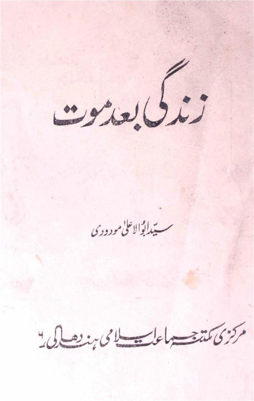 Cover of Zindagi Bad Maut